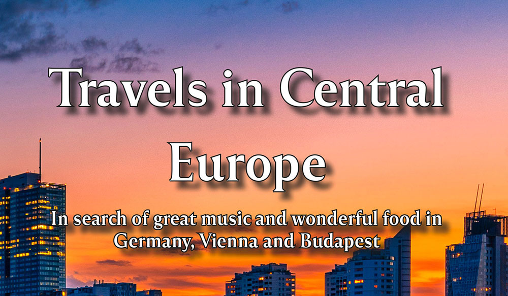 A 'teaser' of the front cover of Travels in Central Europe by Glyn Williams